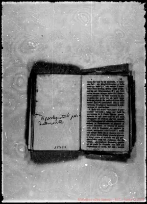Fotogramma D 3