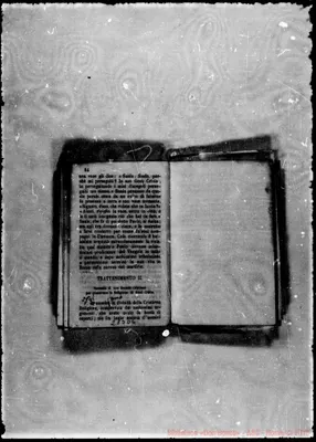 Fotogramma D 4