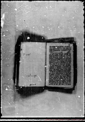 Fotogramma D 5