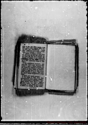 Fotogramma D 6