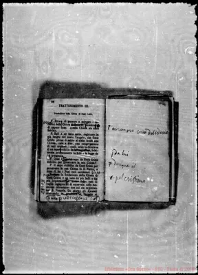 Fotogramma D 8