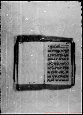 Fotogramma D 9