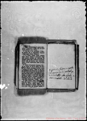 Fotogramma D 10