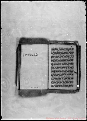 Fotogramma D 11