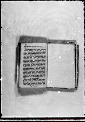 Fotogramma D 12
