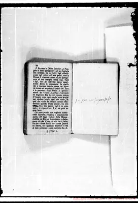 Fotogramma E 6