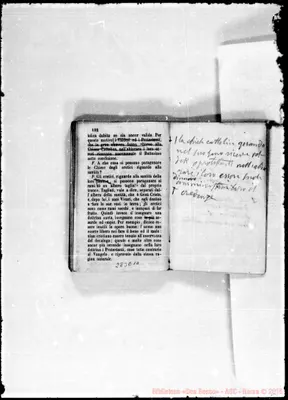 Fotogramma E 10