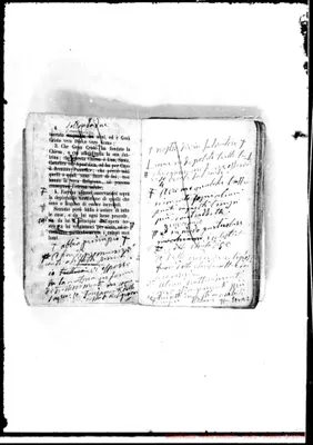 Fotogramma A 12