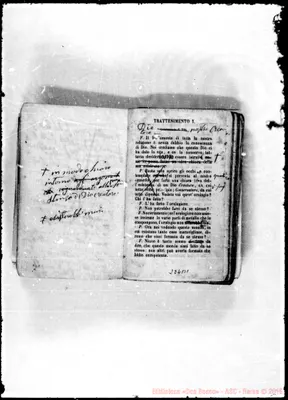 Fotogramma B 1