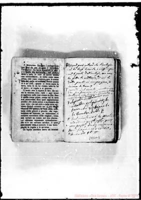 Fotogramma B 2