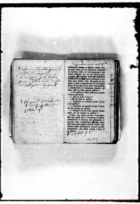 Fotogramma B 3