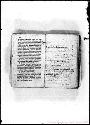 Fotogramma B 8