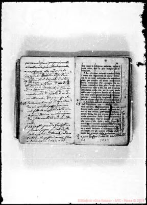 Fotogramma C 1