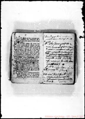 Fotogramma C 2