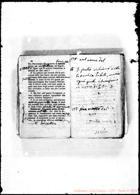 Fotogramma C 10