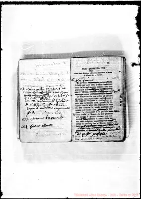 Fotogramma C 11