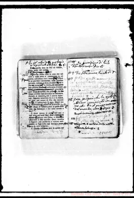 Fotogramma C 12