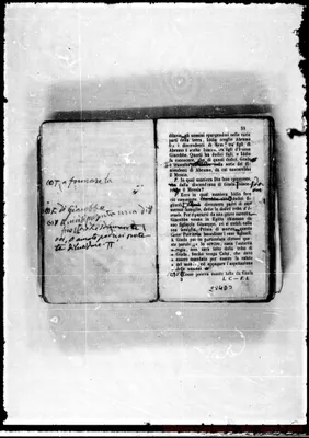 Fotogramma D 3
