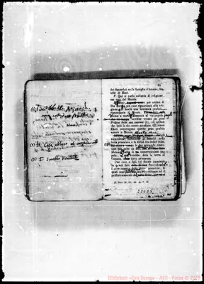 Fotogramma D 5