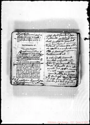 Fotogramma D 6