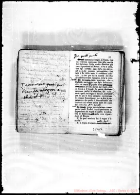 Fotogramma D 7