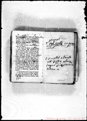 Fotogramma D 8
