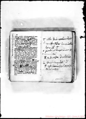 Fotogramma D 10