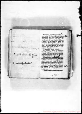 Fotogramma D 11