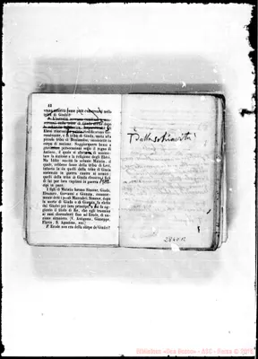 Fotogramma D 12