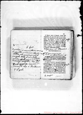 Fotogramma E 1