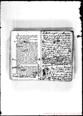 Fotogramma E 6