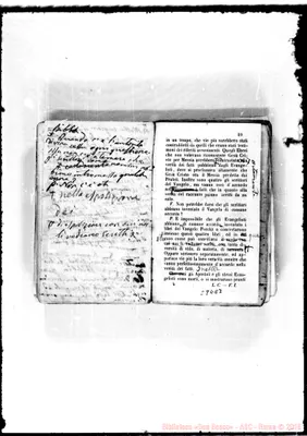 Fotogramma E 7