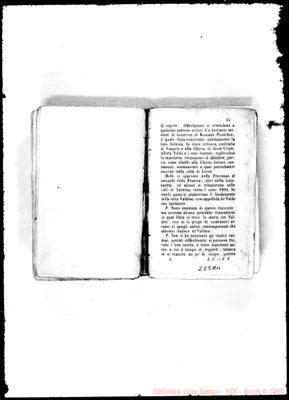 Fotogramma A 11