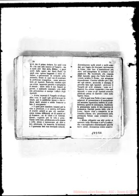 Fotogramma B 2