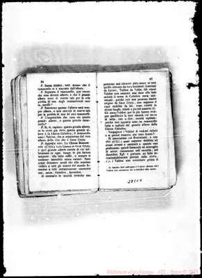 Fotogramma C 4