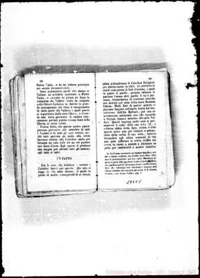 Fotogramma C 5