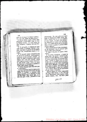 Fotogramma C 7