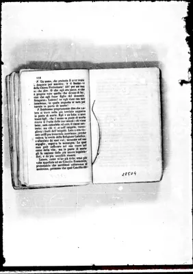 Fotogramma D 4