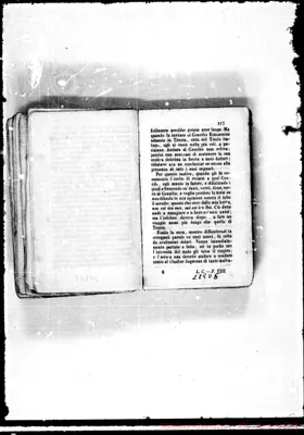 Fotogramma D 5