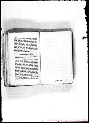 Fotogramma D 6