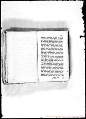 Fotogramma D 7