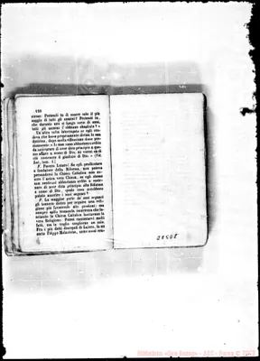 Fotogramma D 8