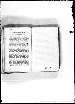 Fotogramma D 10