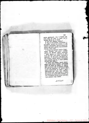 Fotogramma D 11