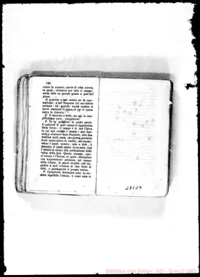 Fotogramma E 4