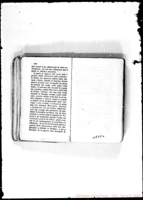 Fotogramma E 6