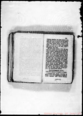 Fotogramma B 3