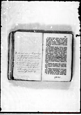 Fotogramma B 5