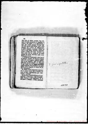 Fotogramma B 8