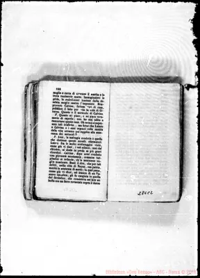 Fotogramma C 2
